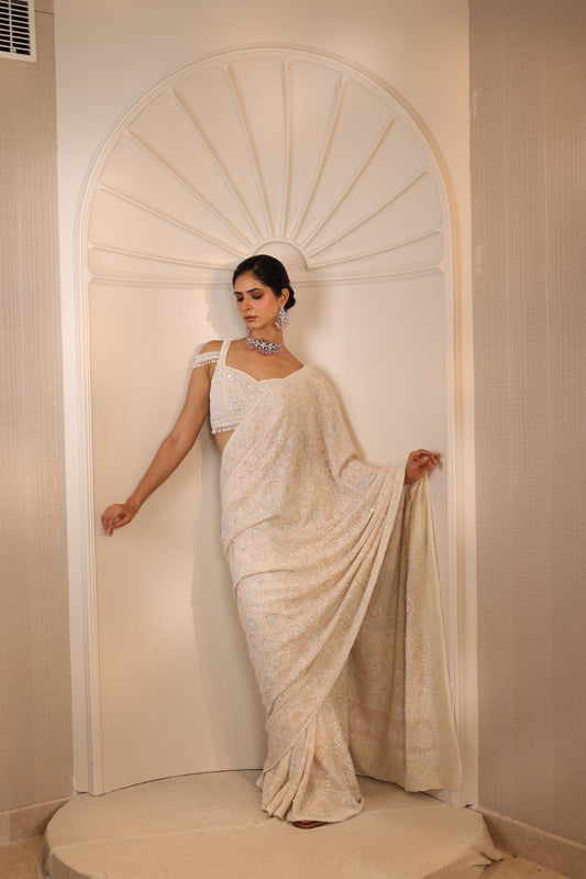 Multicolour Do-Taar Embroidered Saree