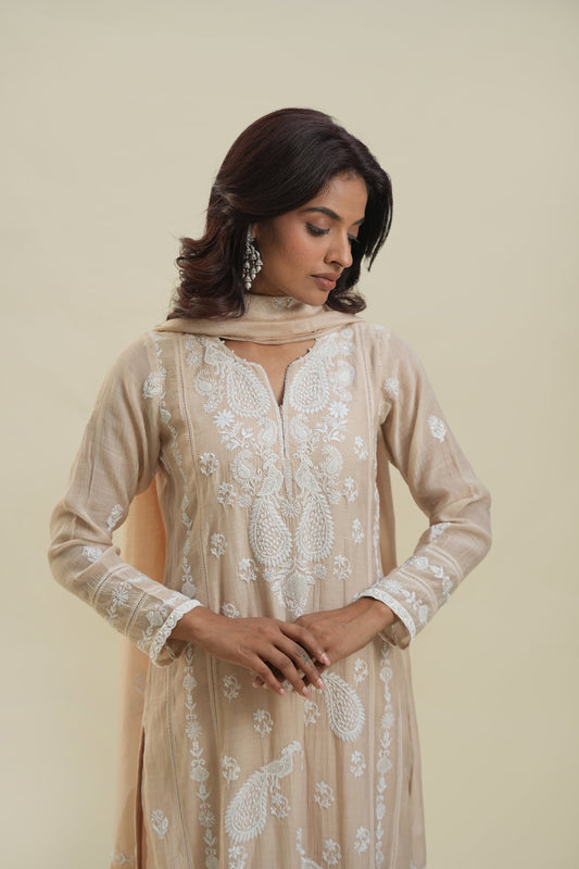 Ecru Mukaish Mul Chanderi Suit Set front close-up showing embroidery