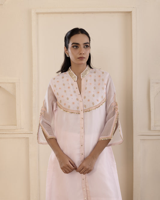 Blush Pink Organza Chikankari Co-ord Set