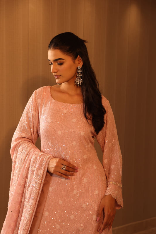 Blush Pink Ek-Taar Sharara Set