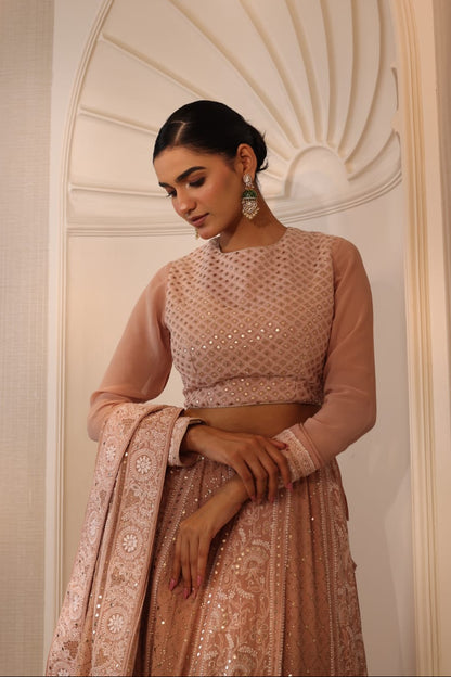 Blush Champagne Lehenga