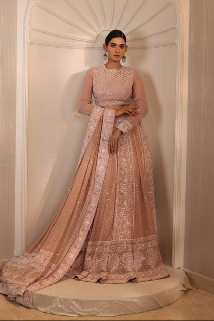 Blush Champagne Lehenga