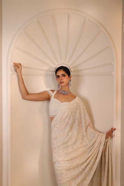 Multicolour Do-Taar Embroidered Saree