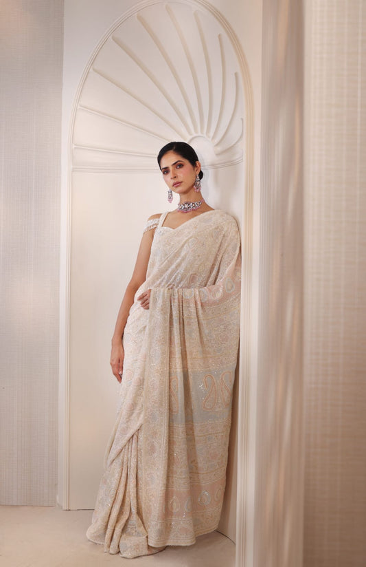 Multicolour Do-Taar Embroidered Saree