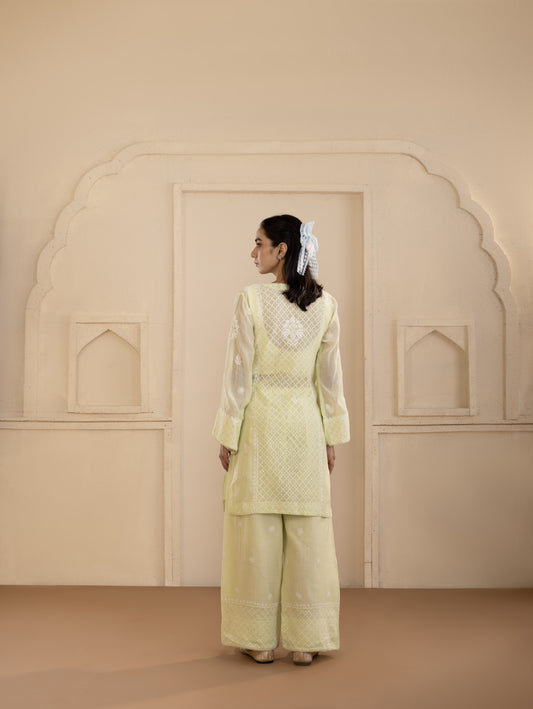 Lime Chikankari Jacquard Co-ord Set