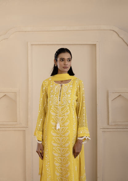Sunlit Yellow Chikankari Mul Suit Set