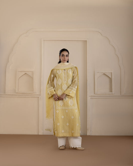 Lime Chanderi Suit Set with Shaded Organza Dupatta