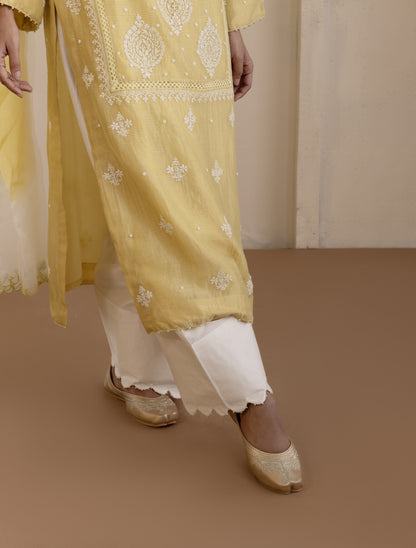 Lime Chanderi Suit Set with Shaded Organza Dupatta