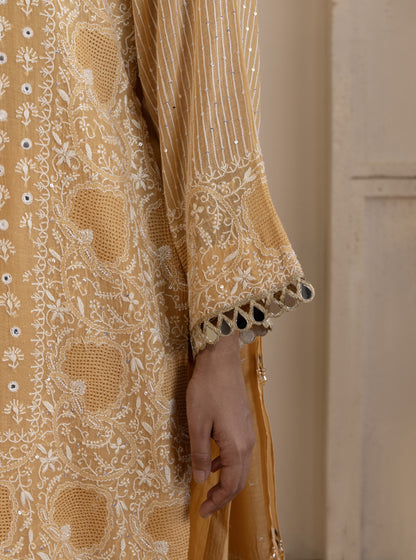 Tangerine Mirrorwork Suit Set