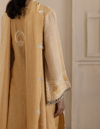 Tangerine Mirrorwork Suit Set