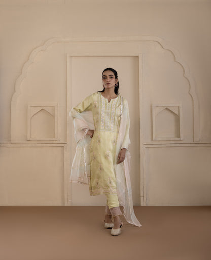 Pistachio Green Embroidered Organza Suit Set