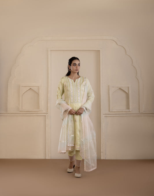 Pistachio Green Embroidered Organza Suit Set