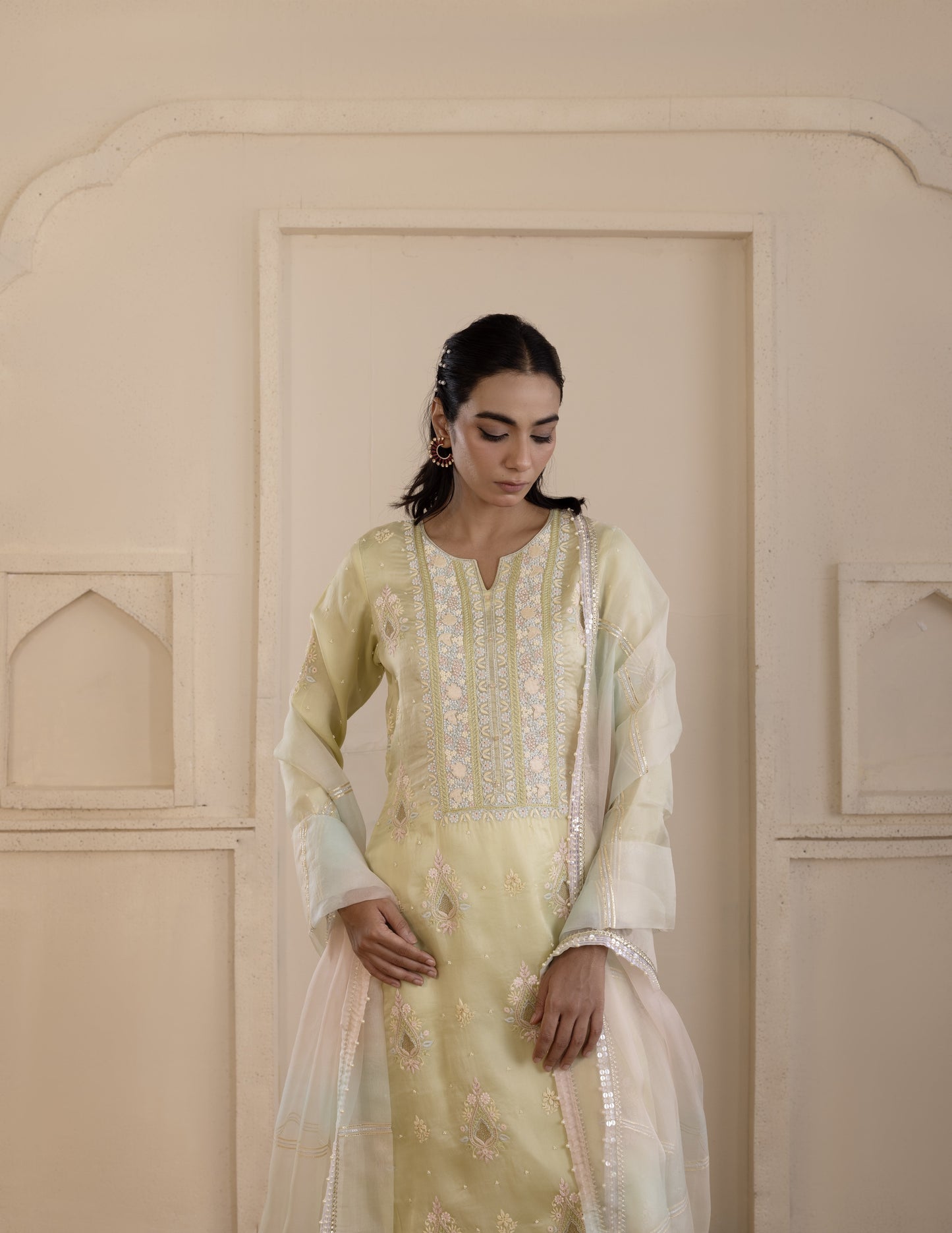 Pistachio Green Embroidered Organza Suit Set