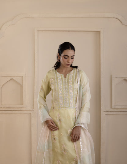 Pistachio Green Embroidered Organza Suit Set