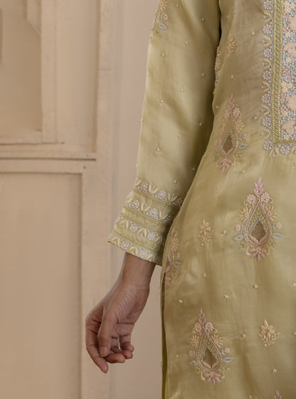 Pistachio Green Embroidered Organza Suit Set