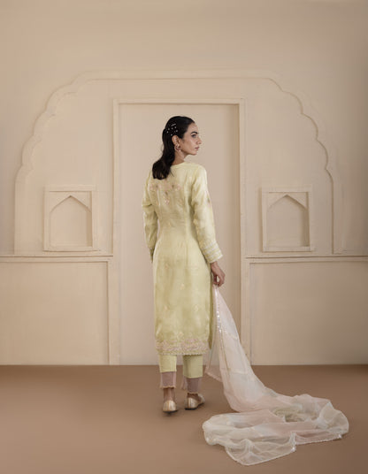 Pistachio Green Embroidered Organza Suit Set