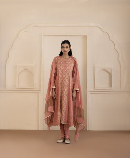 Rust Jaali Tissue Suit Set