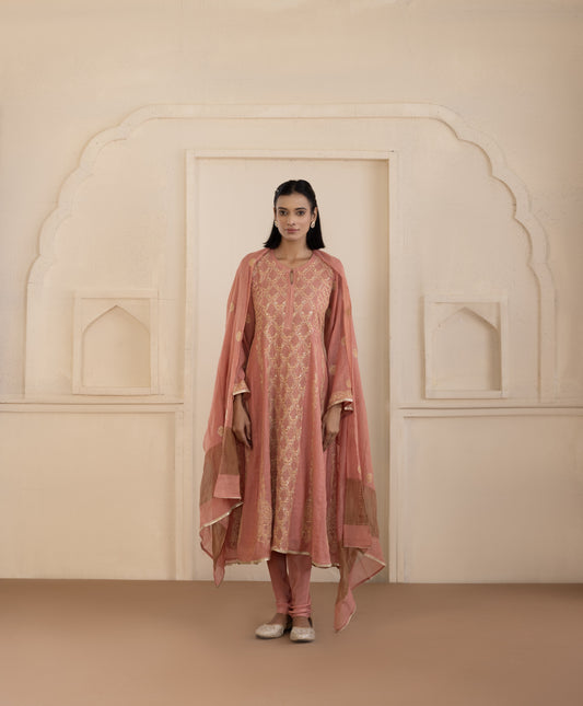 Rust Jaali Tissue Suit Set
