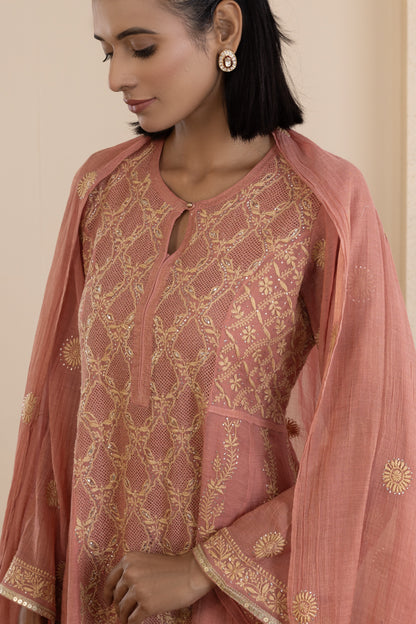 Rust Jaali Tissue Suit Set