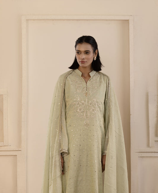 Sage Green Pitta & Mukaish Tissue Suit Set