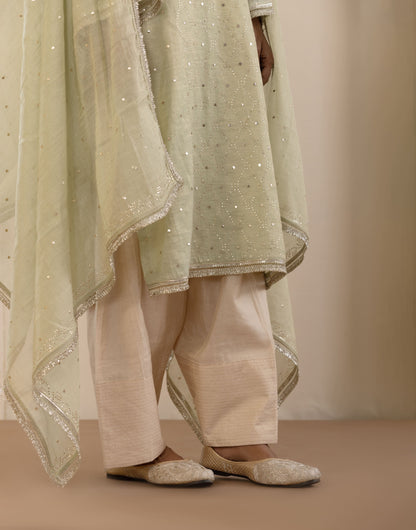 Sage Green Pitta & Mukaish Tissue Suit Set