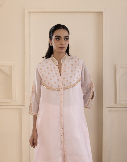 Blush Pink Organza Chikankari Co-ord Set
