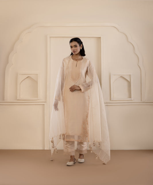 Peach Paisley Organza Suit Set