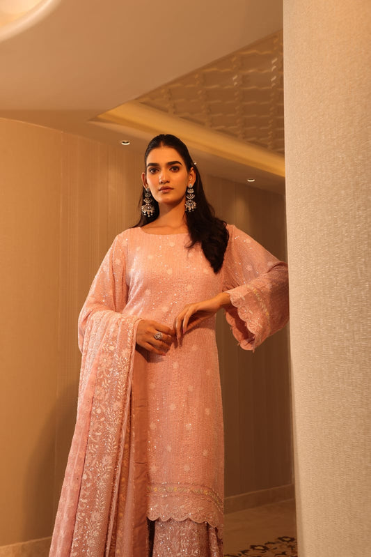 Blush Pink Ek-Taar Sharara Set