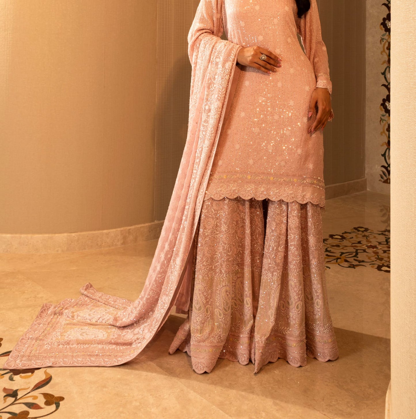 Blush Pink Ek-Taar Sharara Set