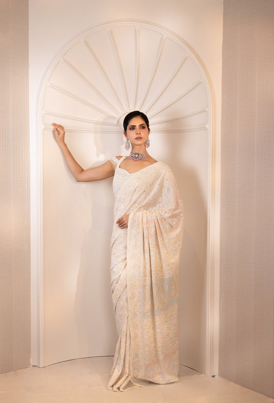 Multicolour Do-Taar Embroidered Saree