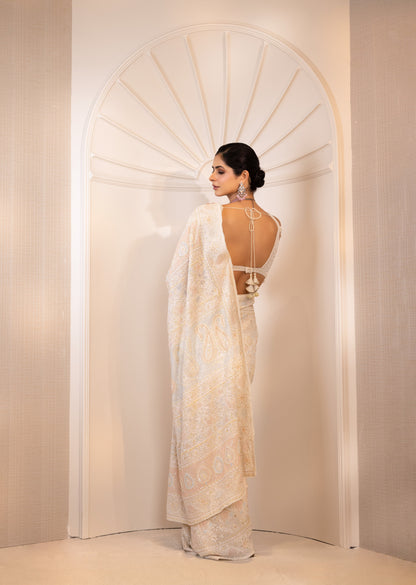 Multicolour Do-Taar Embroidered Saree