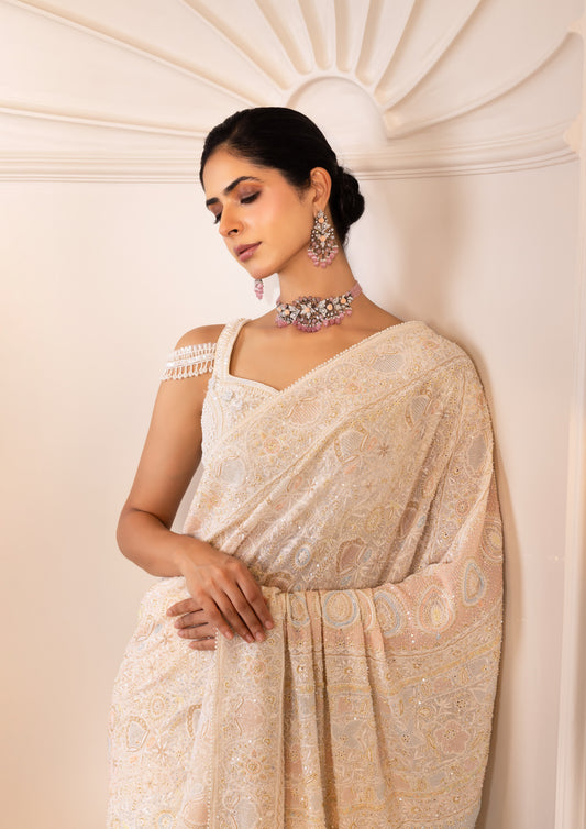 Multicolour Do-Taar Embroidered Saree