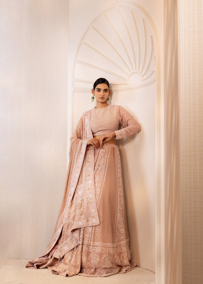 Blush Champagne Mukaish Lehenga