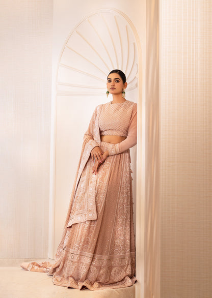 Blush Champagne Mukaish Lehenga
